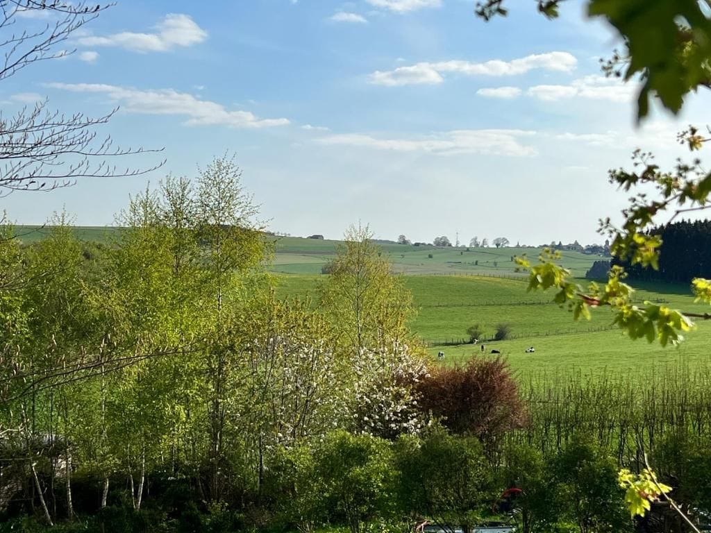 Eine ländliche Landschaft mit sanften, grünen Hügeln, Bäumen und blauem Himmel.