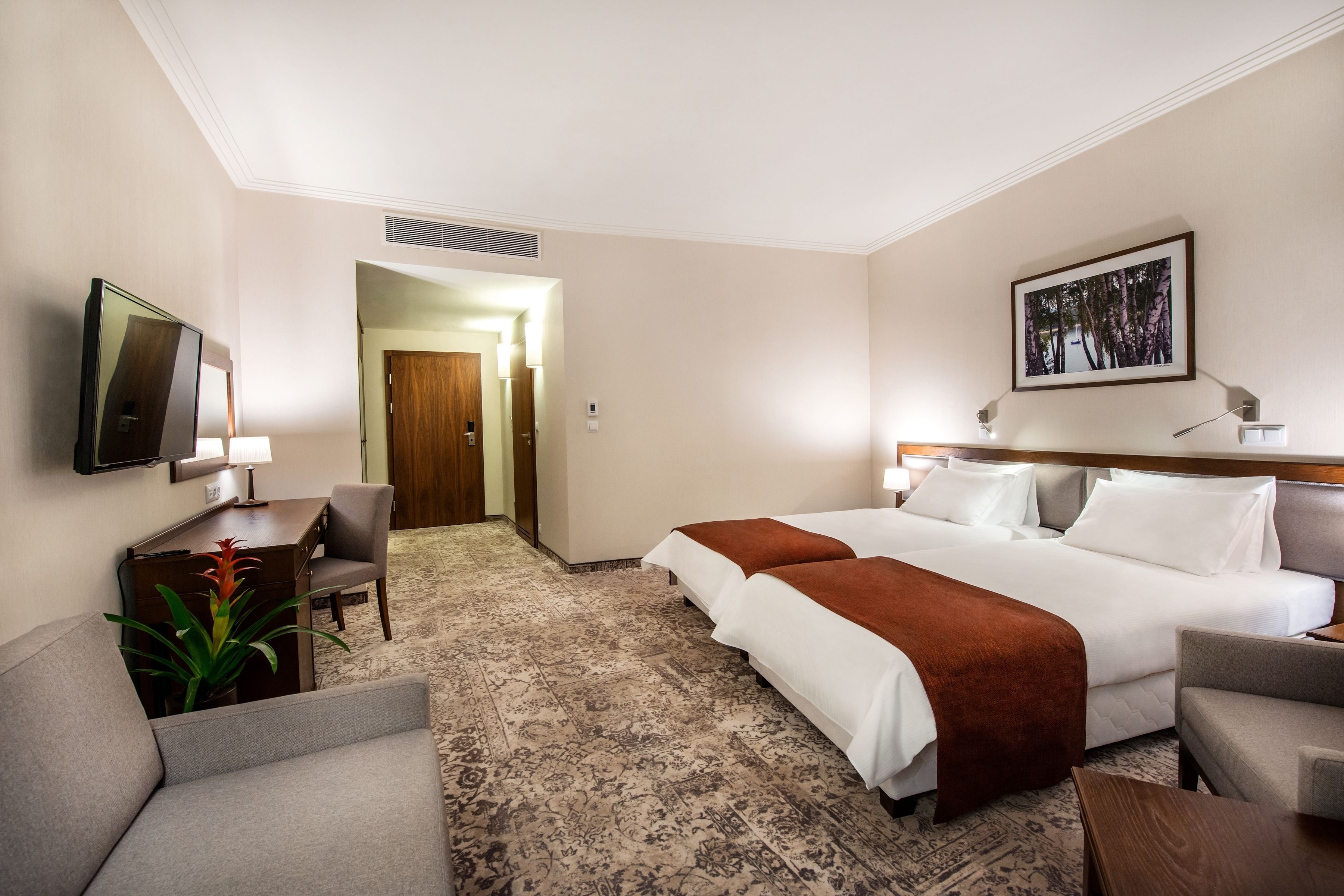 Une chambre d’hôtel avec un grand lit, un bureau avec une chaise, une télévision et une plante.