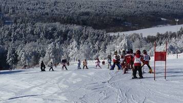 A ski slope with skiers and a forested background.