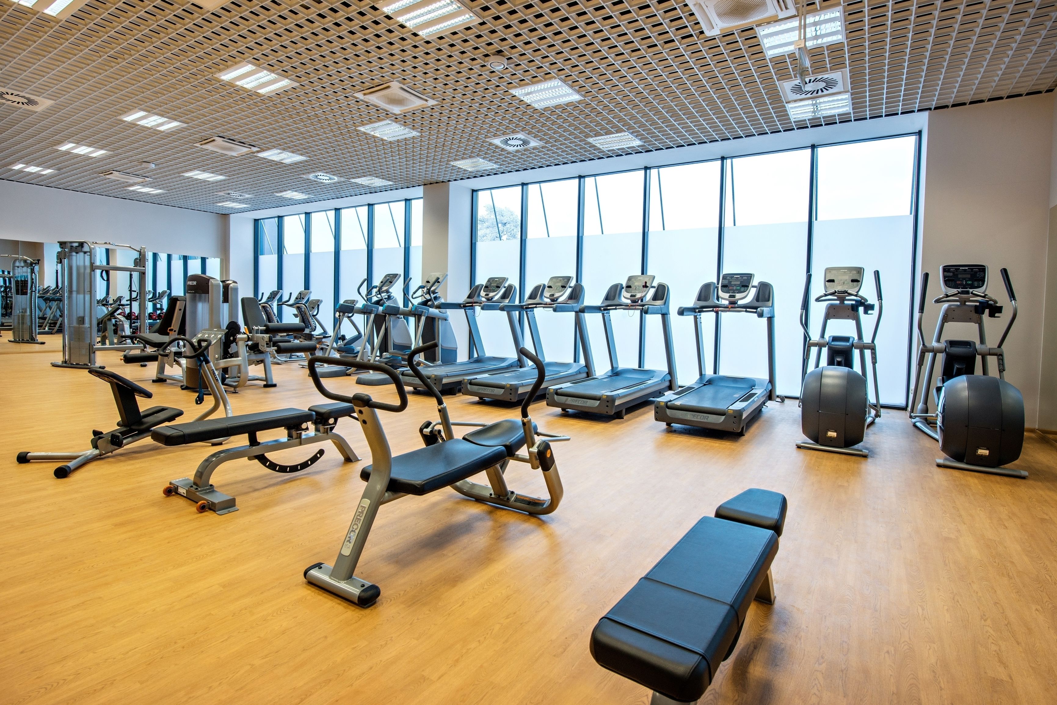 A gym with treadmills, elliptical machines, and weight benches.