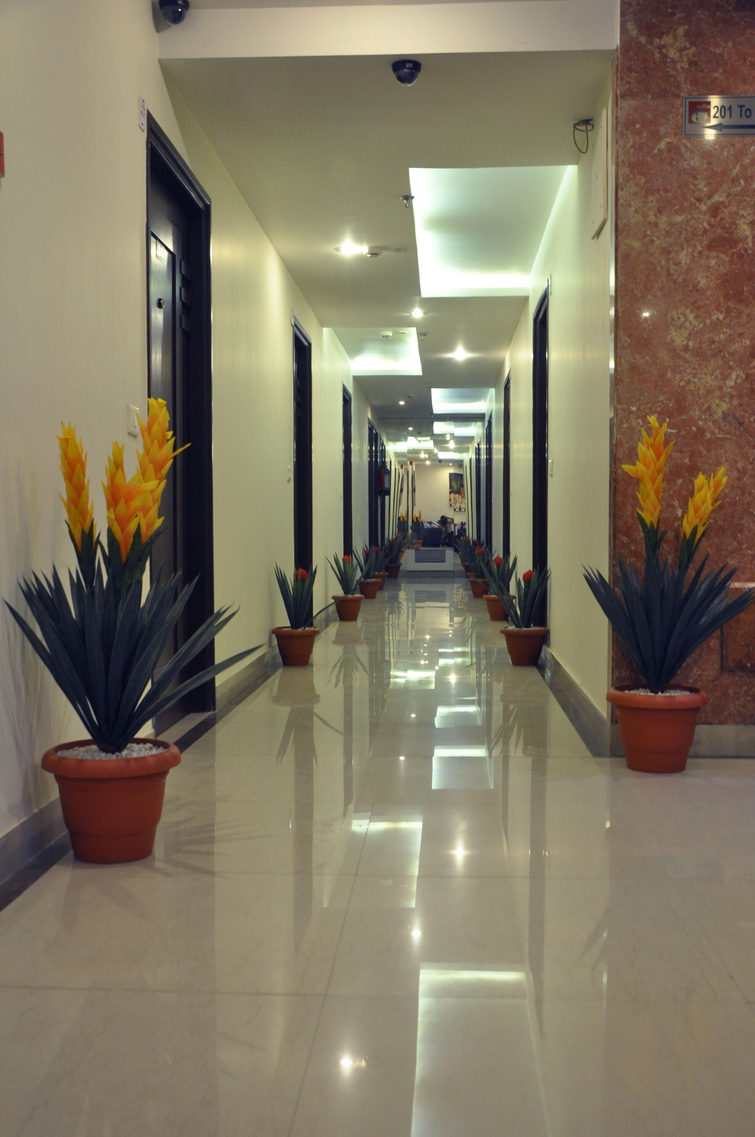 Foto - Hotel Taj Allish By WB Inn