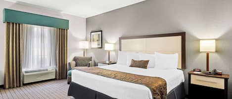 Standard Room, 1 King Bed, Non Smoking, Refrigerator & Microwave | Desk, iron/ironing board, free cribs/infant beds, free WiFi