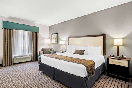 Standard Room, 1 King Bed, Non Smoking, Refrigerator & Microwave | Desk, iron/ironing board, free cribs/infant beds, free WiFi