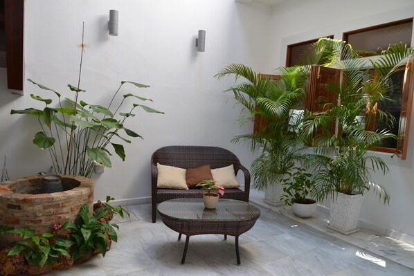A cozy indoor seating area with a wicker sofa, a round glass table, and various potted plants.