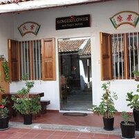 Entrada de un hotel con un letrero que dice 'GINGERFLOWER BOUTIQUE HOTEL'.