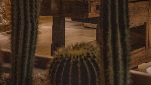 Une pièce avec de grands cactus, une lampe et un mur recouvert de panneaux de bois.