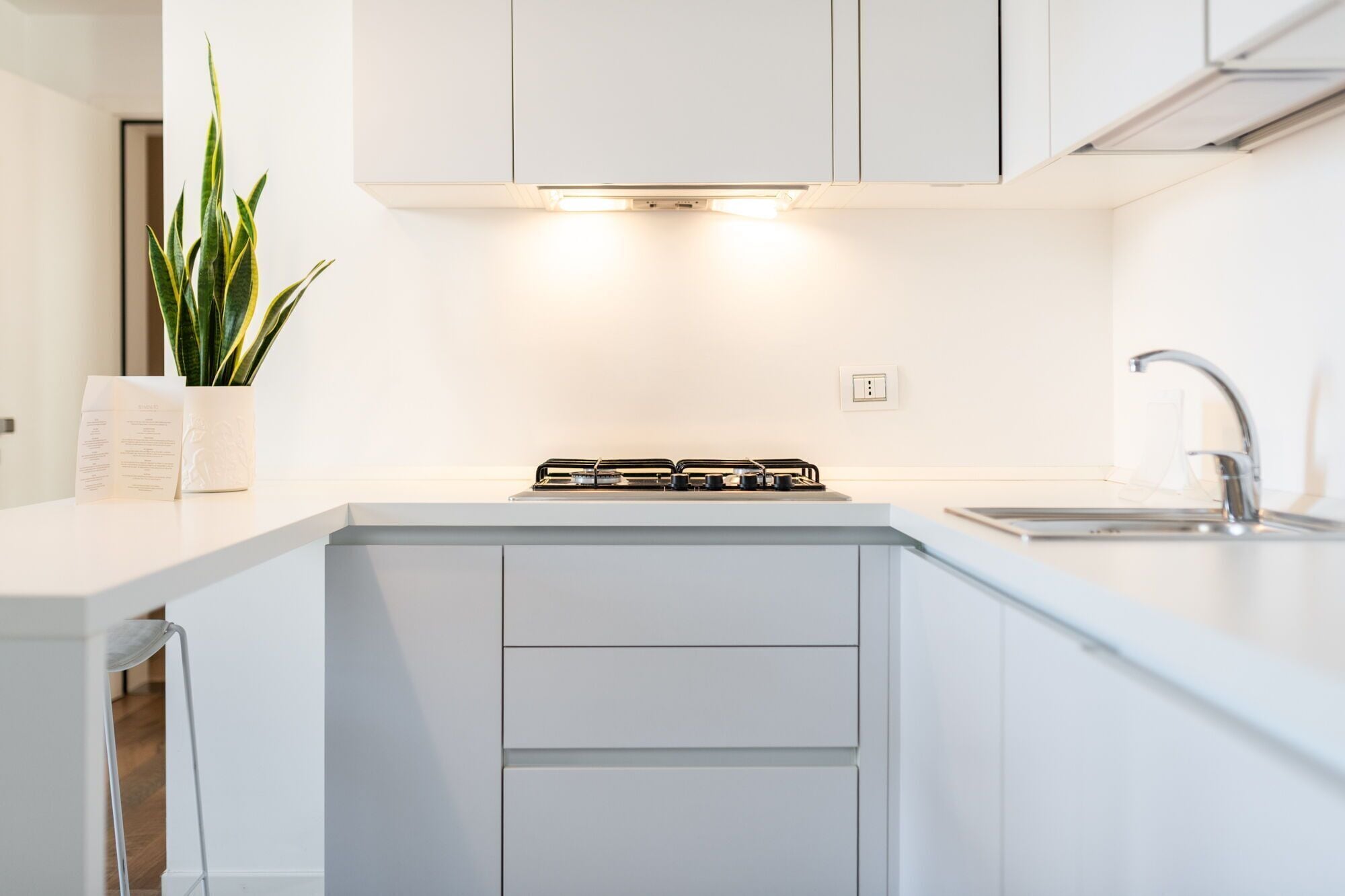 A modern kitchen with white cabinetry, a gas stove, a sink, and a potted plant.