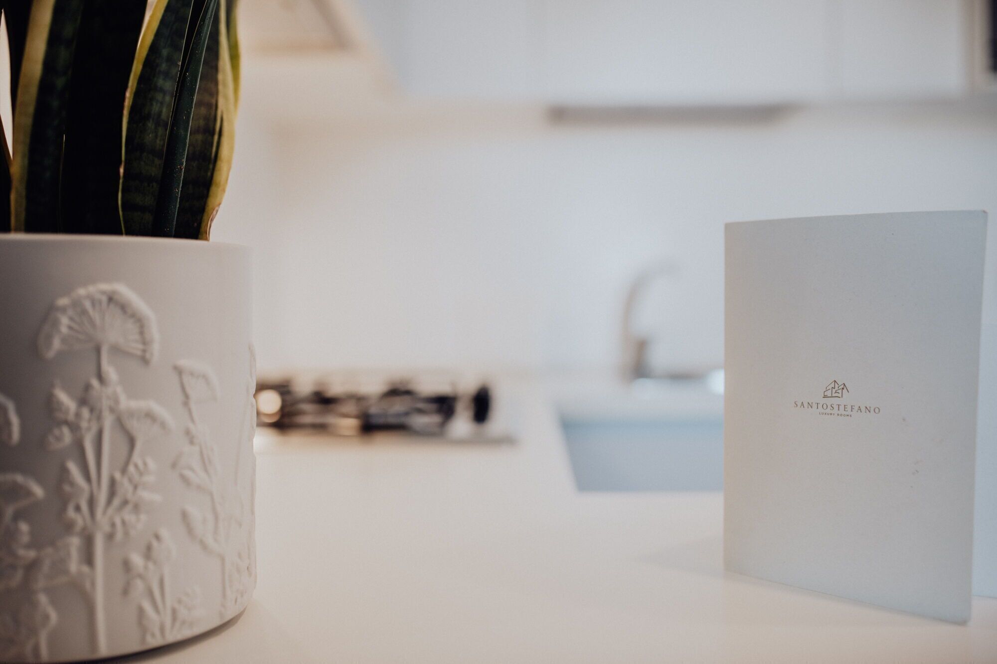 A white ceramic pot with a plant, a white card with "SANTOSTEFANO LUXURY ROOMS" text, and a blurred background suggesting a modern interior.
