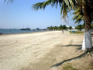 근처 해변, 백사장, 비치 타월, 카야킹