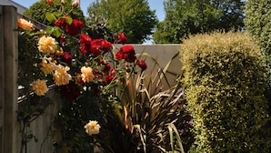 A garden with various flowering plants and a neatly trimmed hedge. - Bella Vista Motel Hamilton (Hamilton)