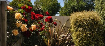 Bella Vista Motel Hamilton