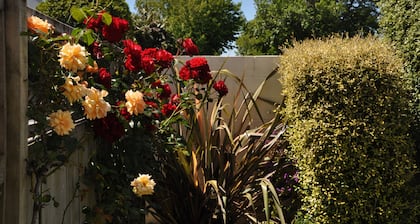 Bella Vista Motel Hamilton