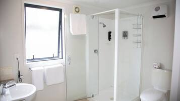 Un baño moderno con ducha de vidrio, un lavabo blanco y un inodoro.