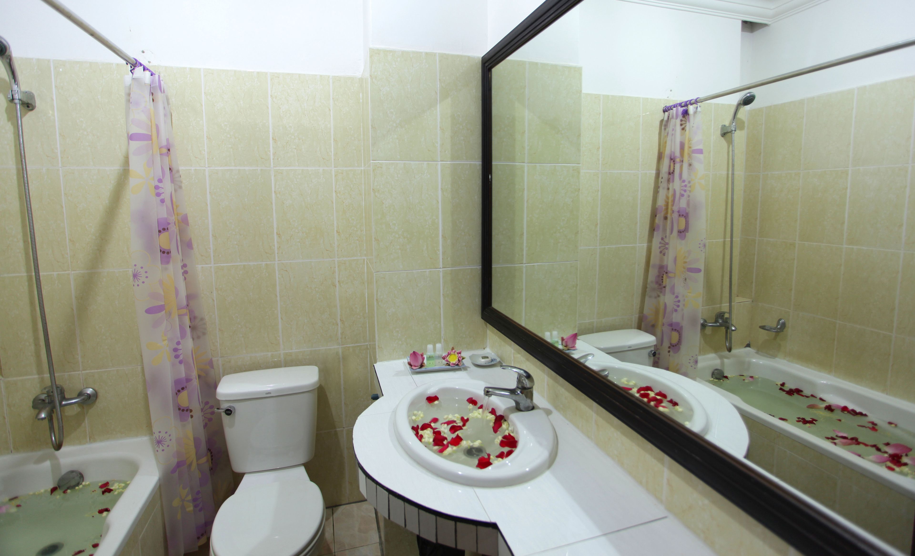 combined shower/bathtub, deep-soaking bathtub, free toiletries