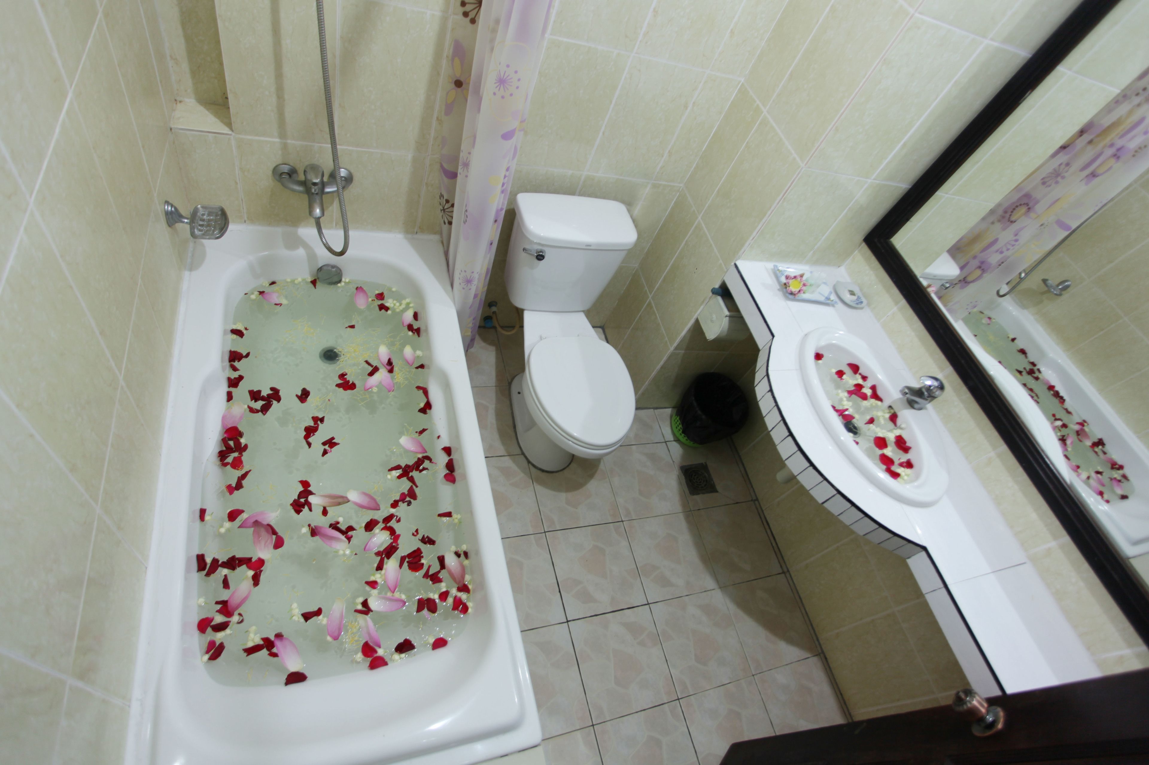 combined shower/bathtub, deep-soaking bathtub, free toiletries