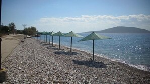 Una playa de guijarros con sombrillas verdes dispuestas a lo largo de la orilla.