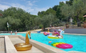 Una piscina con juguetes inflables y un flotador con forma de cisne.