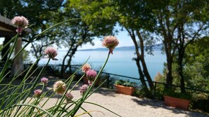 Exterior - Camping Villaggio Cerquestra (Magione)