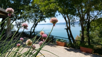 Una terraza con vistas a un lago, rodeada de árboles y plantas en macetas.