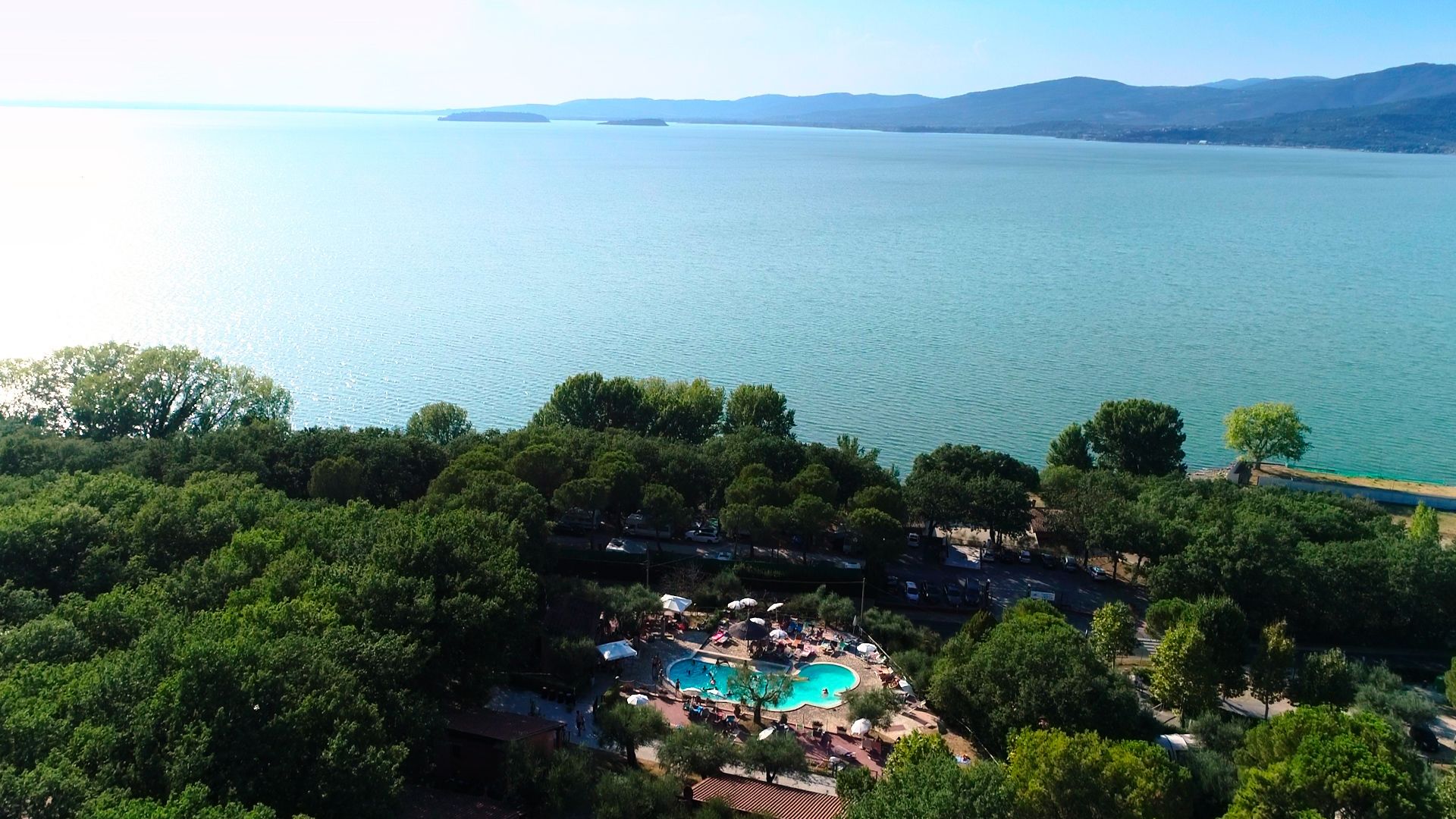 Un complexe hôtelier doté d’une piscine entourée d’une végétation luxuriante et offrant une vue sur une vaste étendue d’eau.