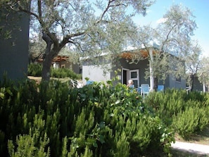 Perusbungalow, 1 makuuhuone | Terassi/patio