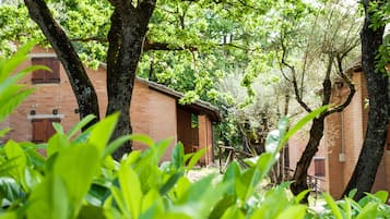 Chalet, 1 slaapkamer, aan het zwembad | Badkamer | Toiletpapier