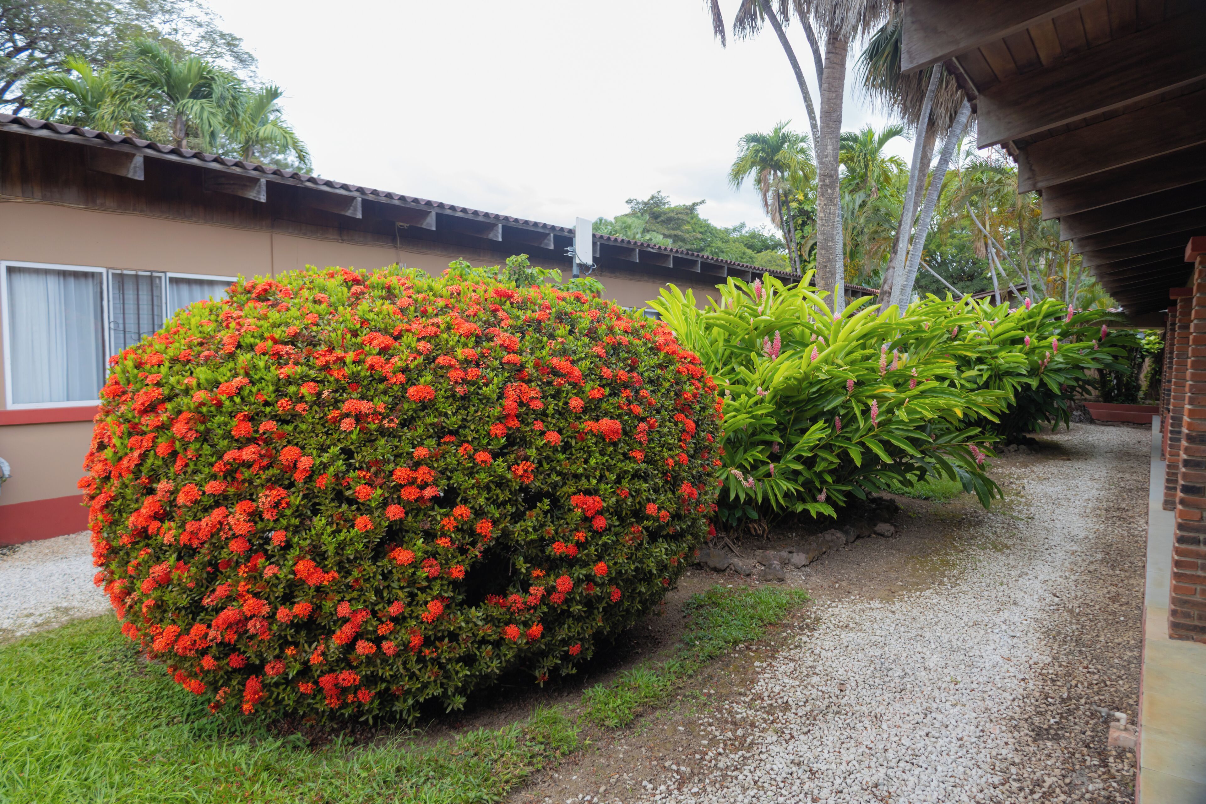 Jardim