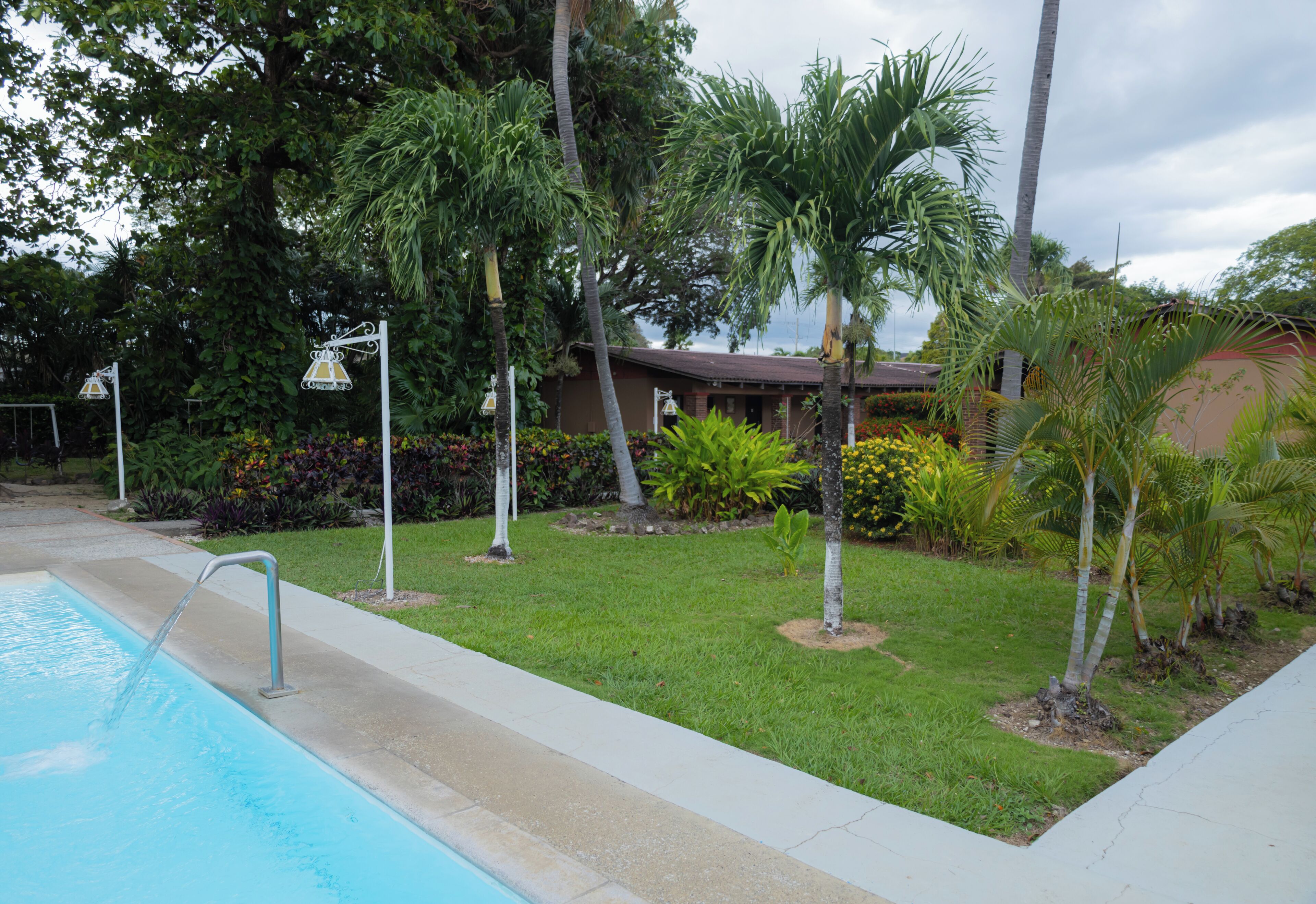 Una piscina con barandilla metálica, rodeada de césped cuidado y palmeras.