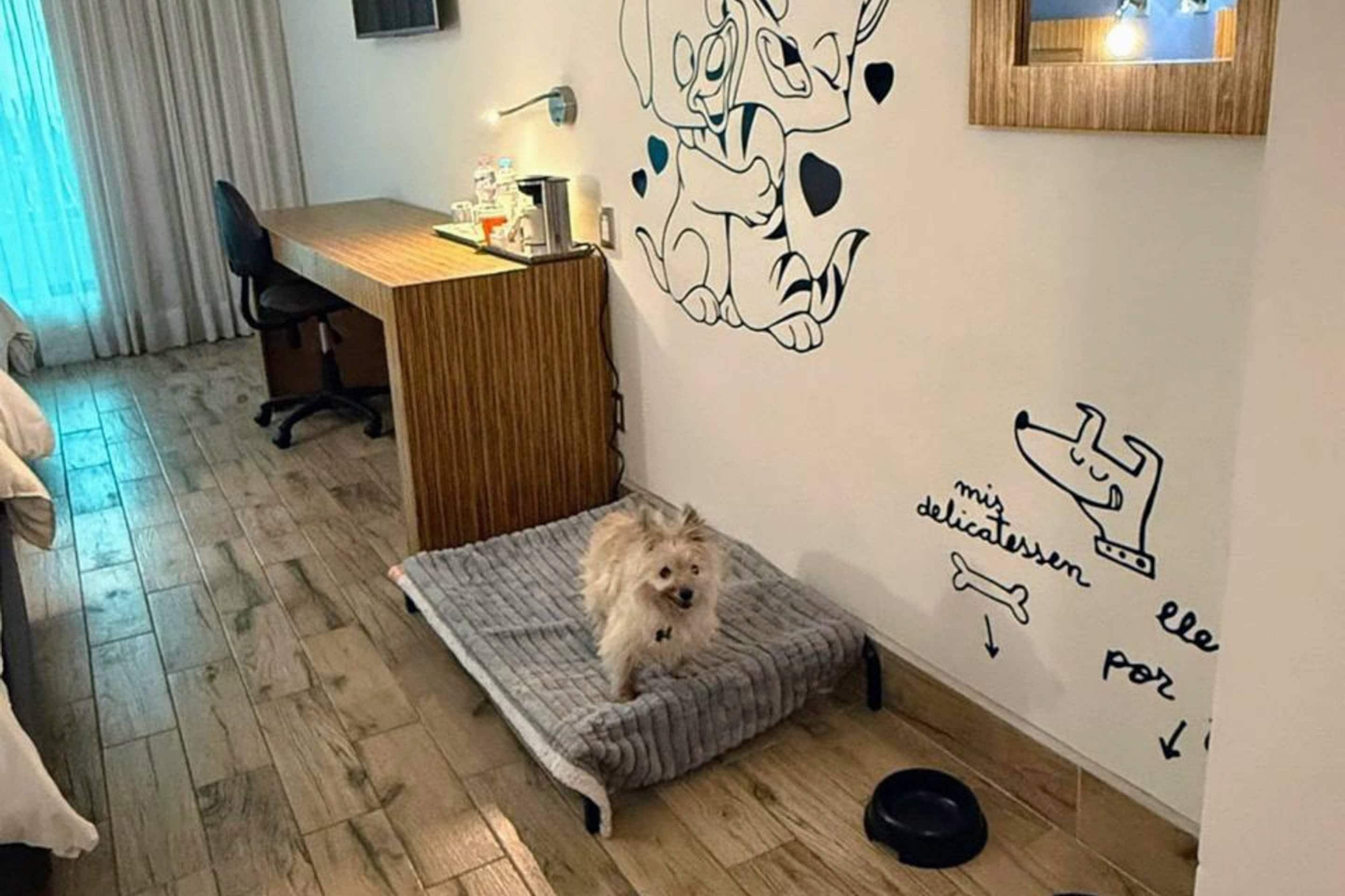 Photo - Radisson Hotel & Convention Center Toluca