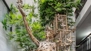 A statue of a figure holding a birdcage, surrounded by lush greenery and decorative vases in a spacious atrium. - Radisson Hotel & Convention Center Toluca (Toluca)