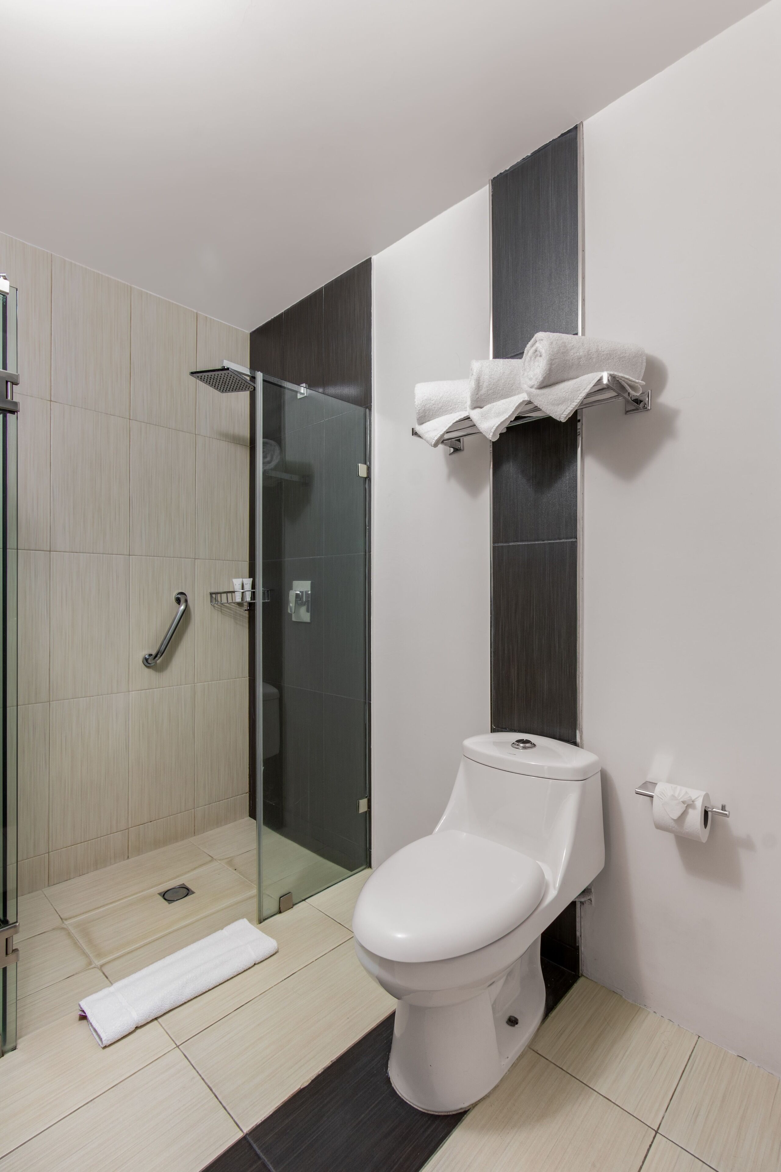 A modern bathroom with a toilet, a glass shower enclosure, and a towel rack.