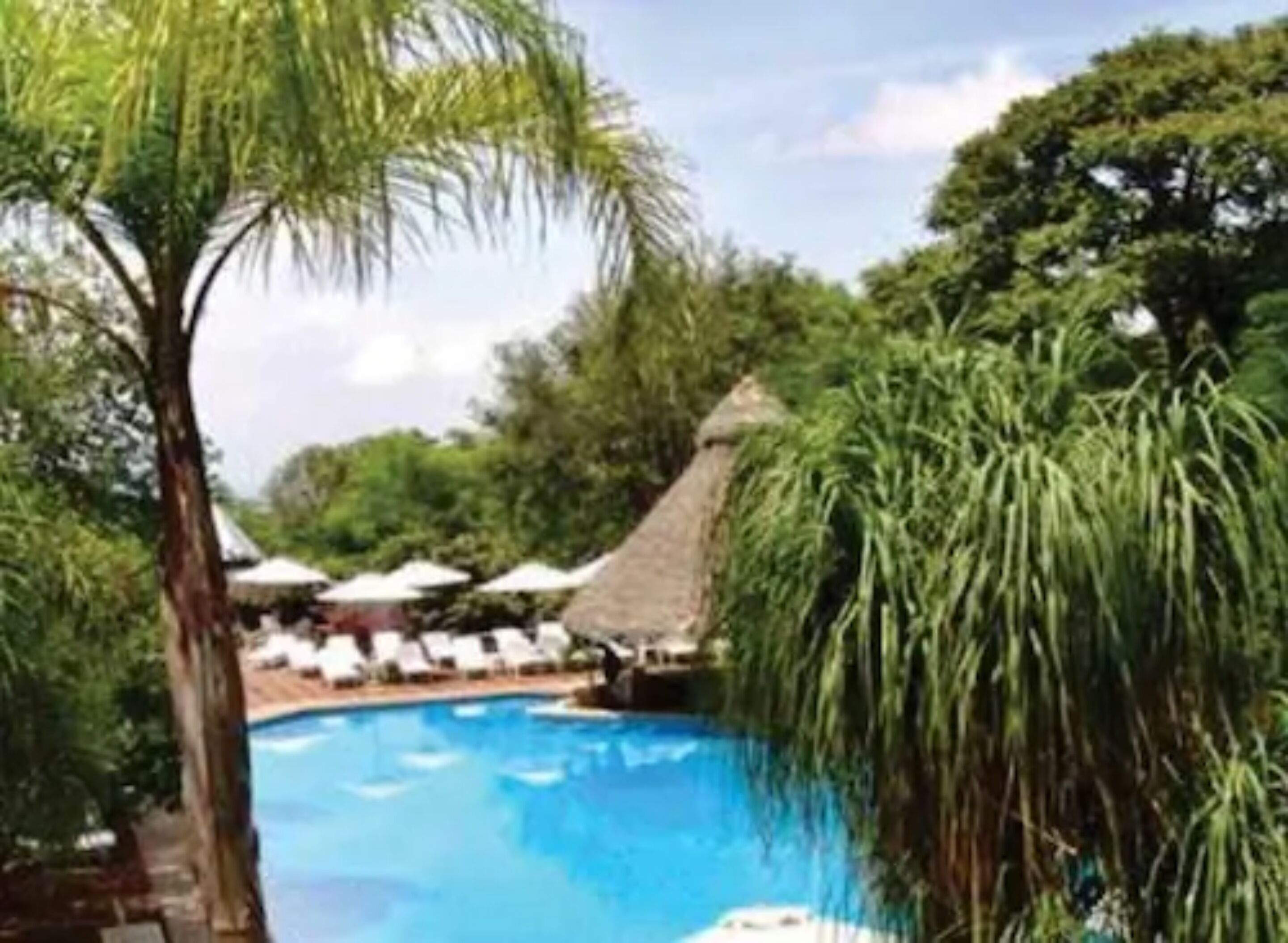 A swimming pool surrounded by lush greenery and thatched-roof structures.
