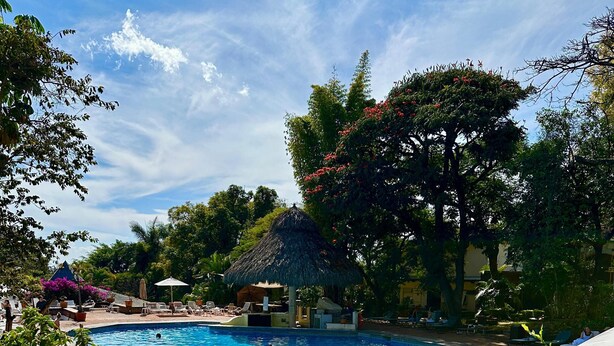 Una piscina con una estructura de techo de paja, rodeada de exuberante vegetación y árboles.