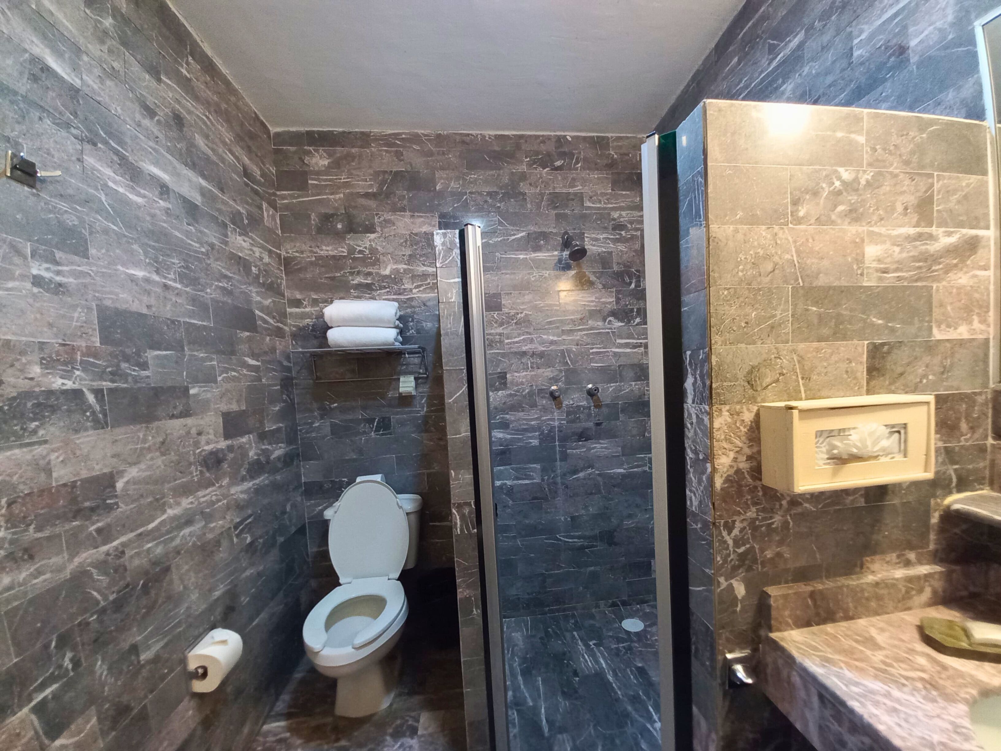 Un bany amb vàter, plat de dutxa i paret amb mosaics de marbre.