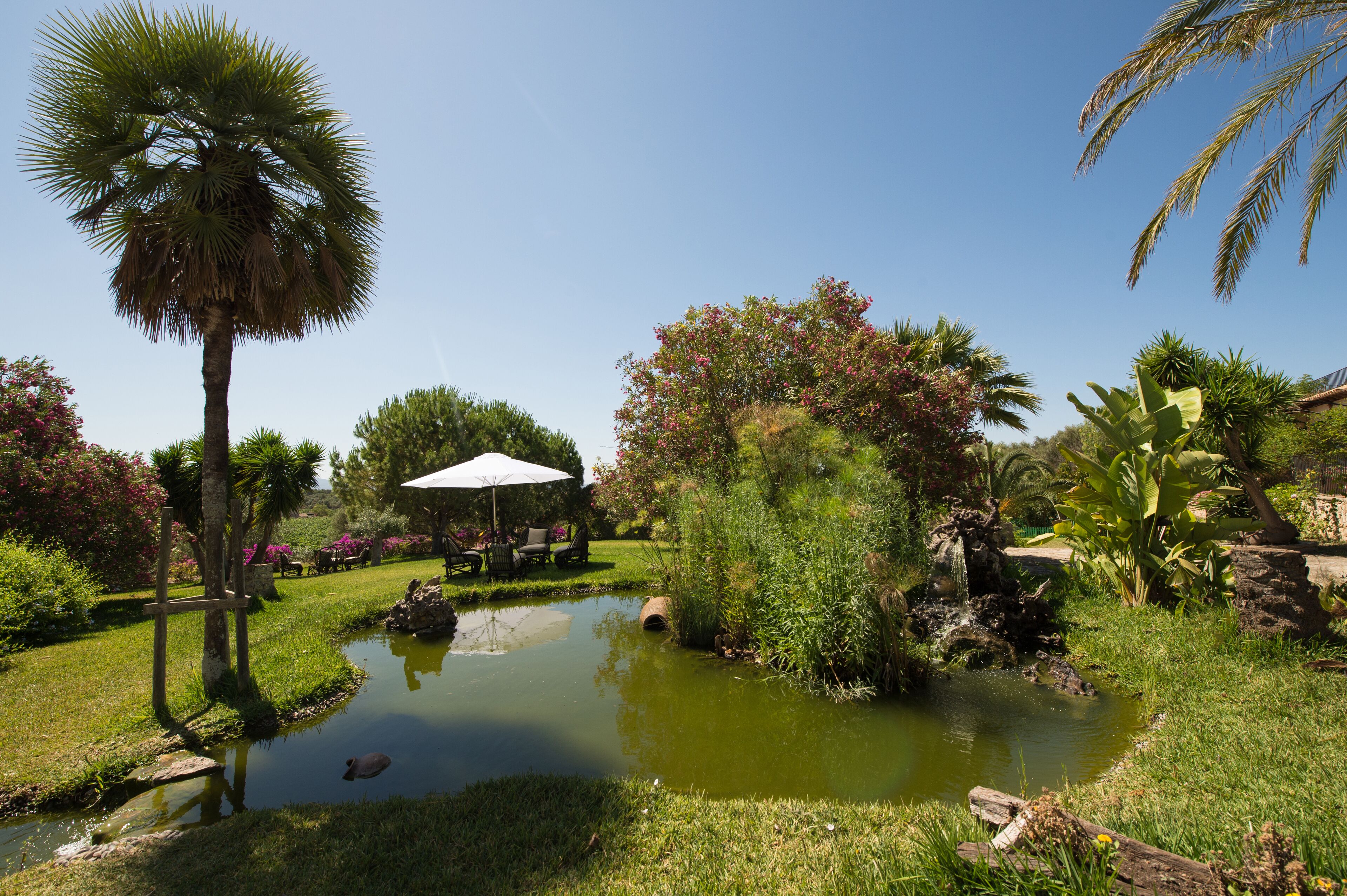 Un jardín con estanque, palmeras y un patio con mobiliario exterior.