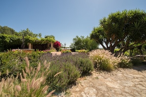 Property grounds - Hotel Rural Can Feliu (Porreres)