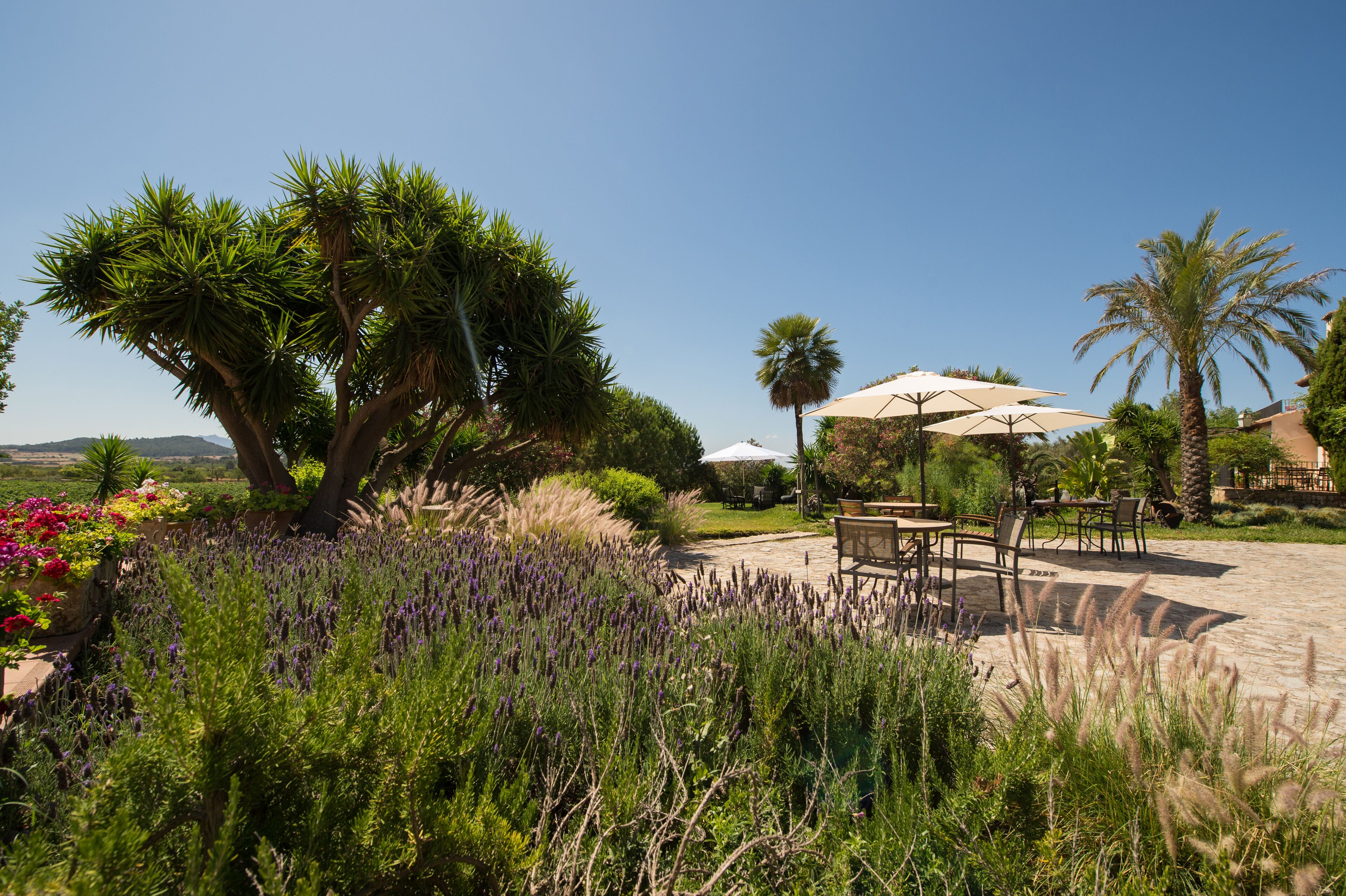Un jardín con patio, mobiliario exterior y sombrillas.
