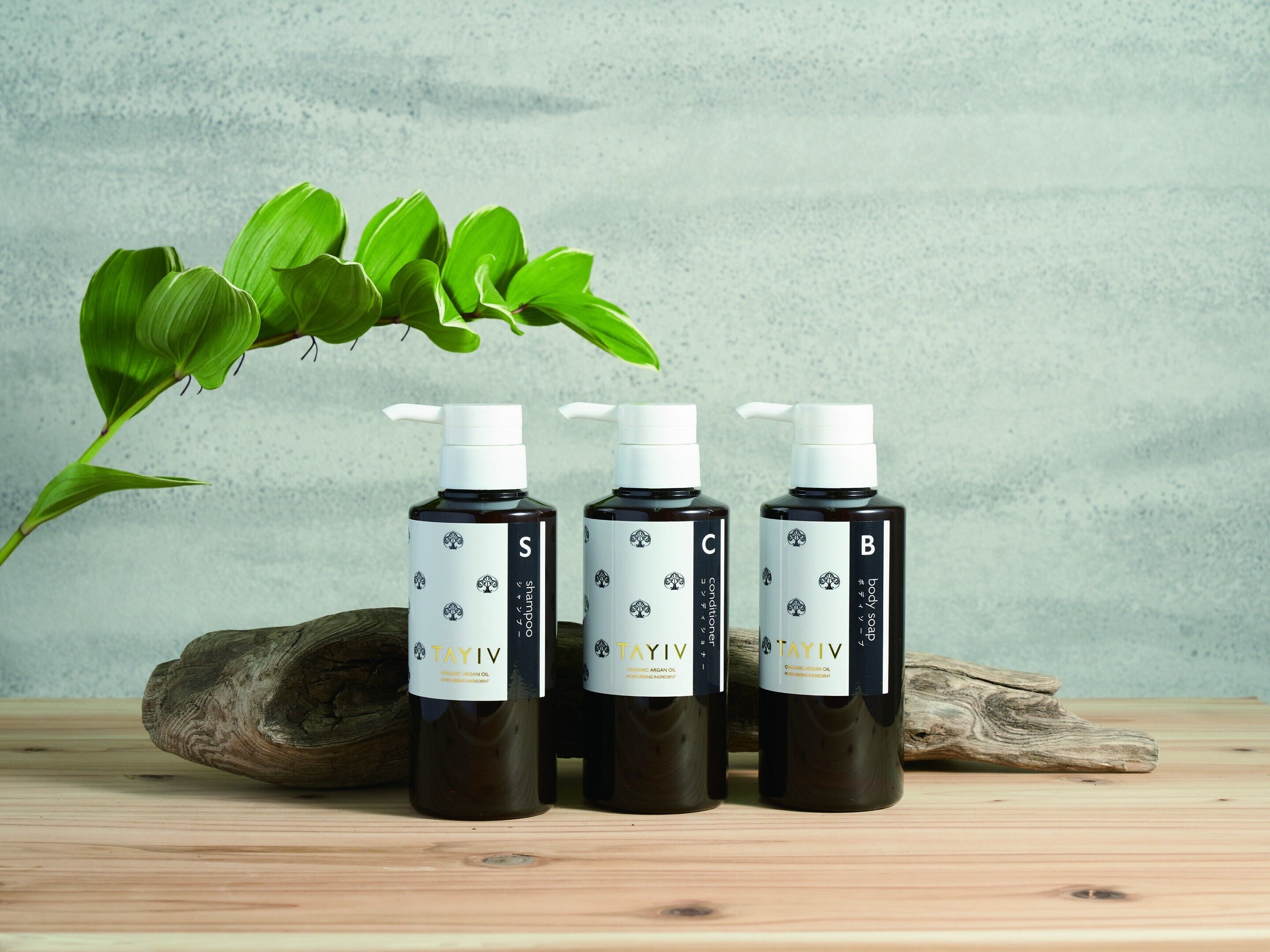 free toiletries, hair dryer, slippers, bidet