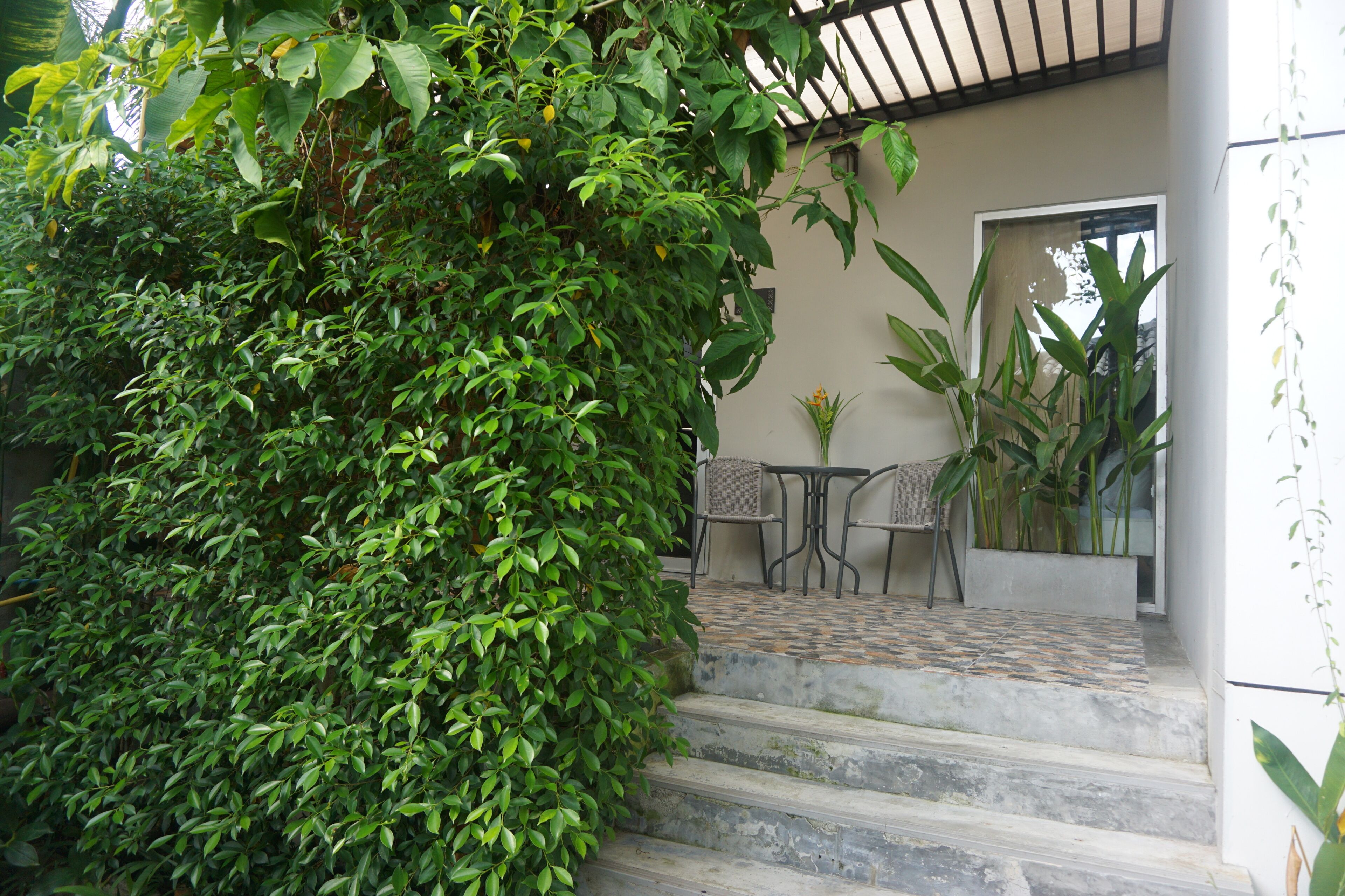 studio king garden view | terrace/patio