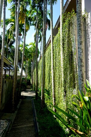 Deluxe King Pool View | Terraço/pátio