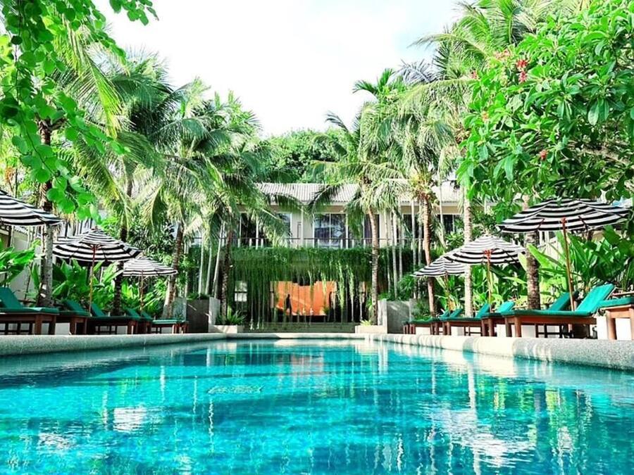Outdoor pool, pool umbrellas, sun loungers