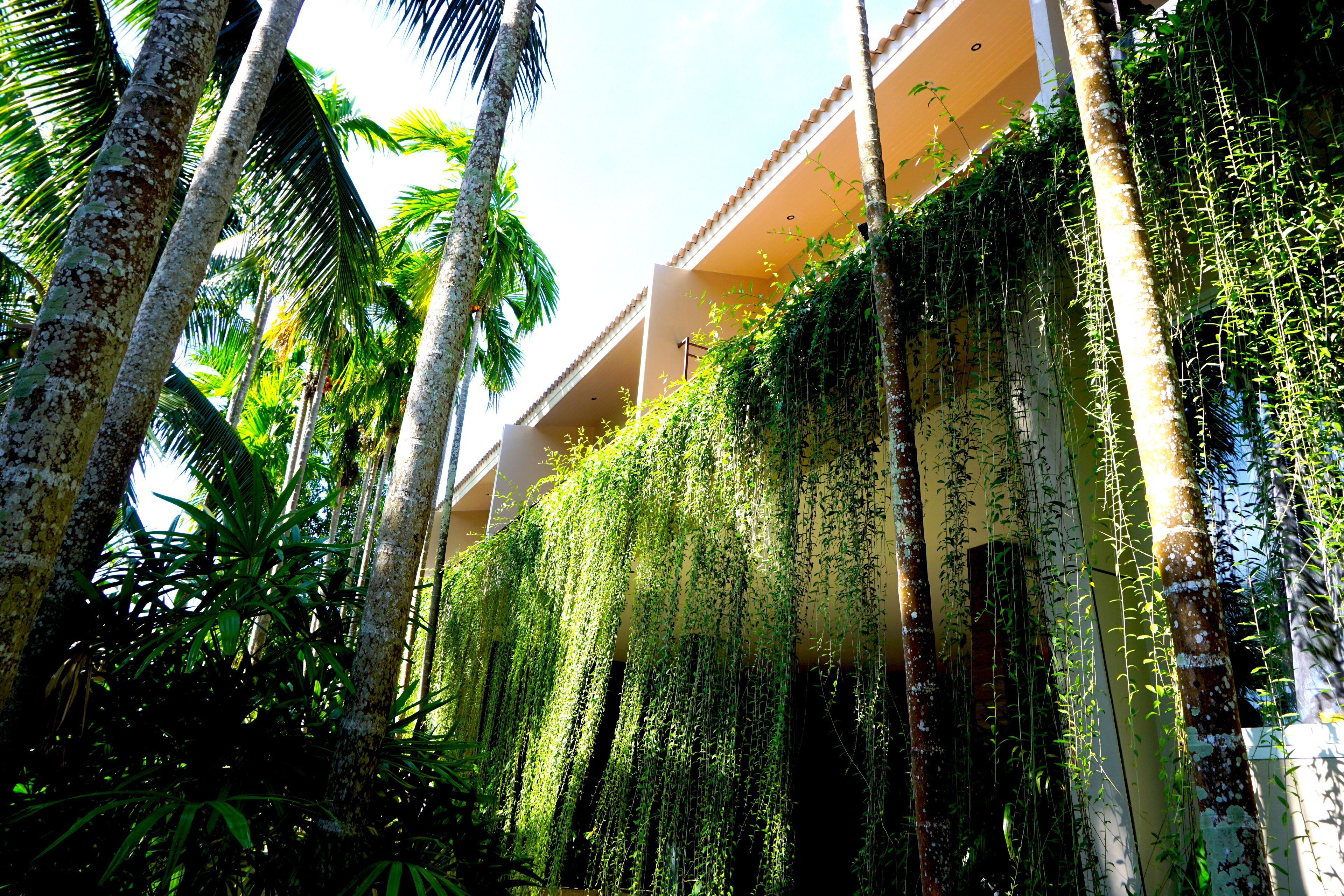 Photo - Signature Phuket Resort