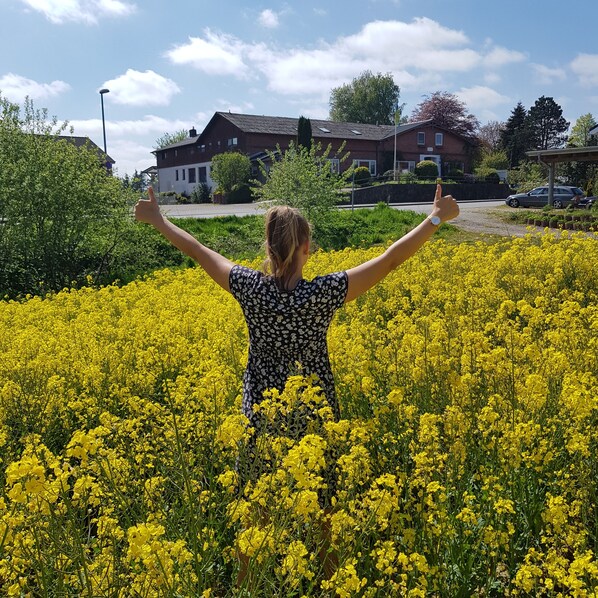 Una persona de pie en un campo de flores amarillas, con los brazos levantados, mirando una hilera de casas.