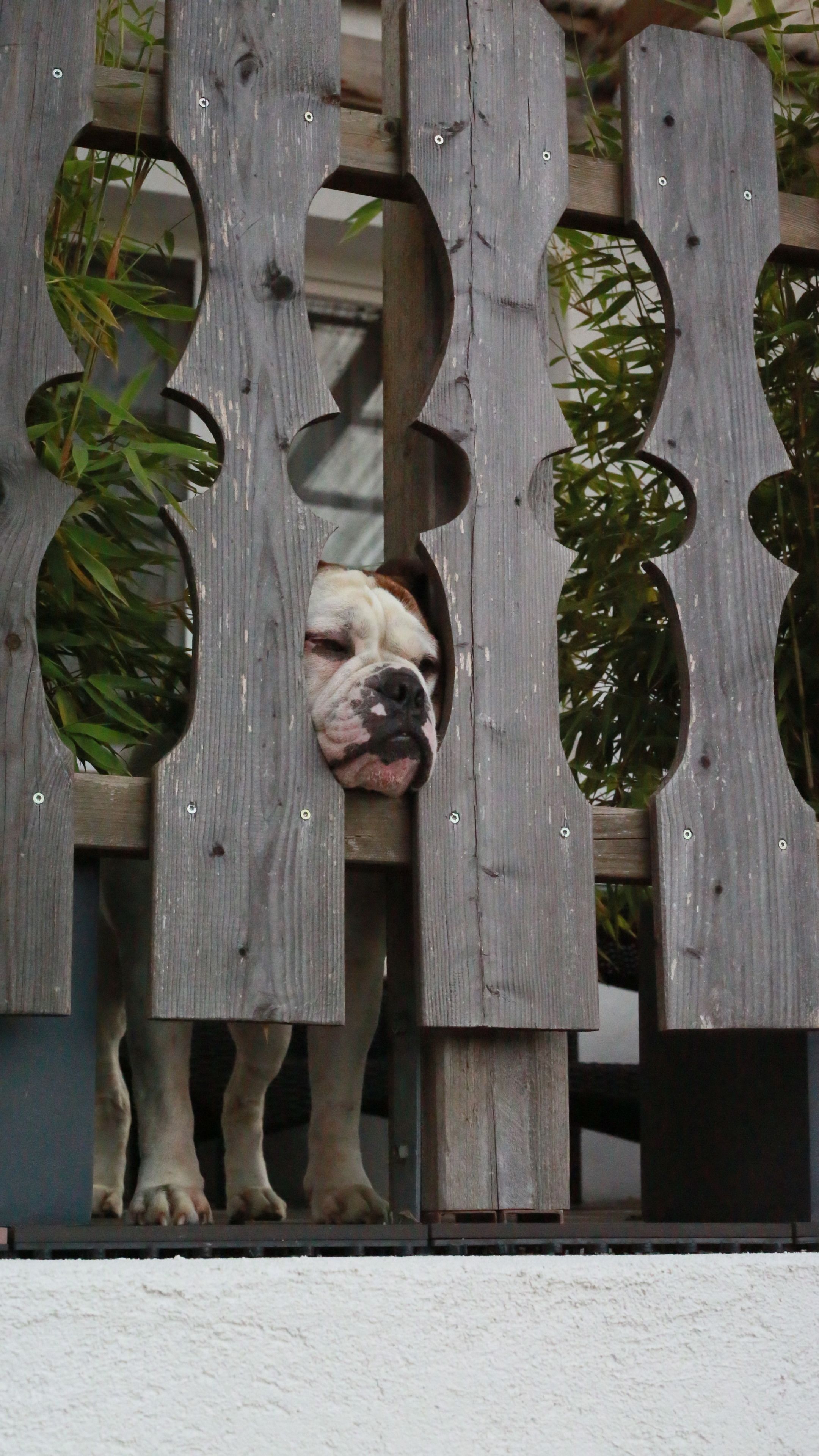 comfort double room, terrace | terrace/patio