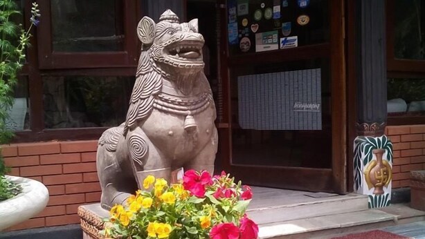 A lion statue with flowers in a large pot, a smaller pot with marigolds, and a building entrance with a glass door and a red mat. - Hotel Blue Diamond (Kathmandu)