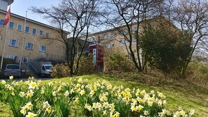 Un bâtiment doté de nombreuses fenêtres et d’une porte rouge, entouré d’arbres et d’un champ de jonquilles.