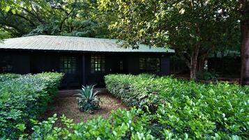 Superior Double Room, 2 Double Beds | Garden view