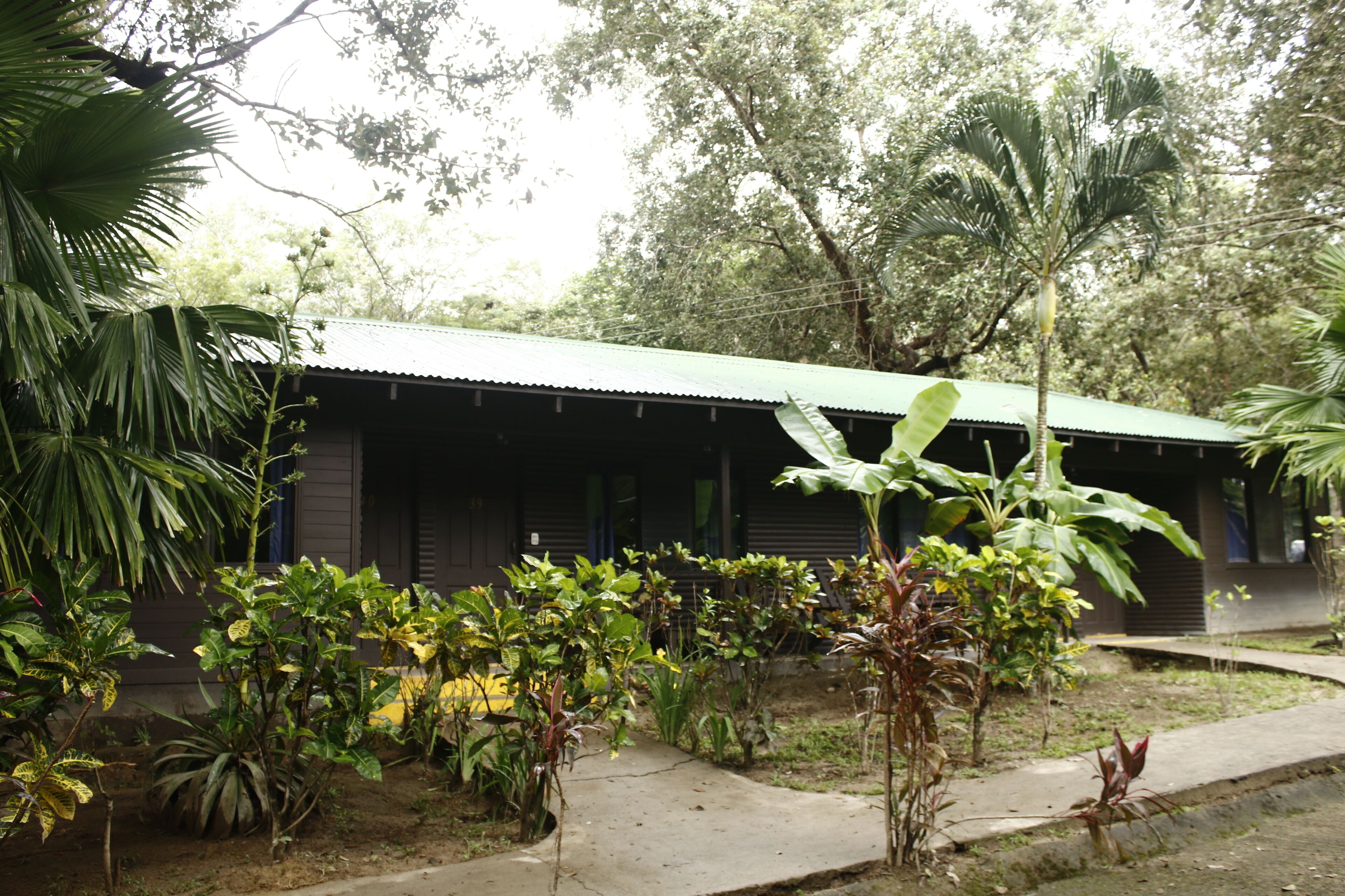 A building with a green roof and a concrete pathway leading to it.