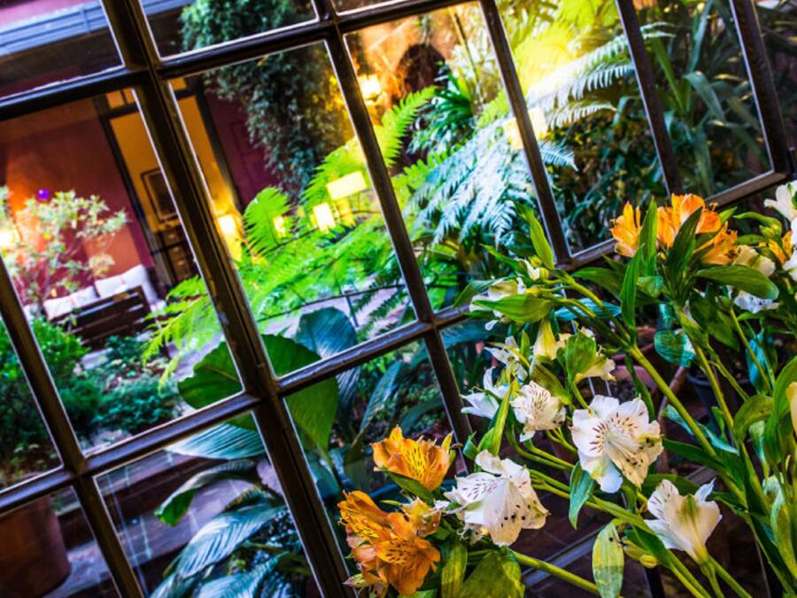 Majoituspaikan mukavuudet