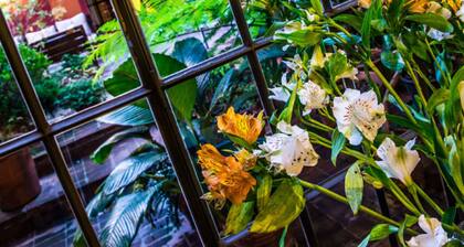 Be Jardin Escondido by Coppola